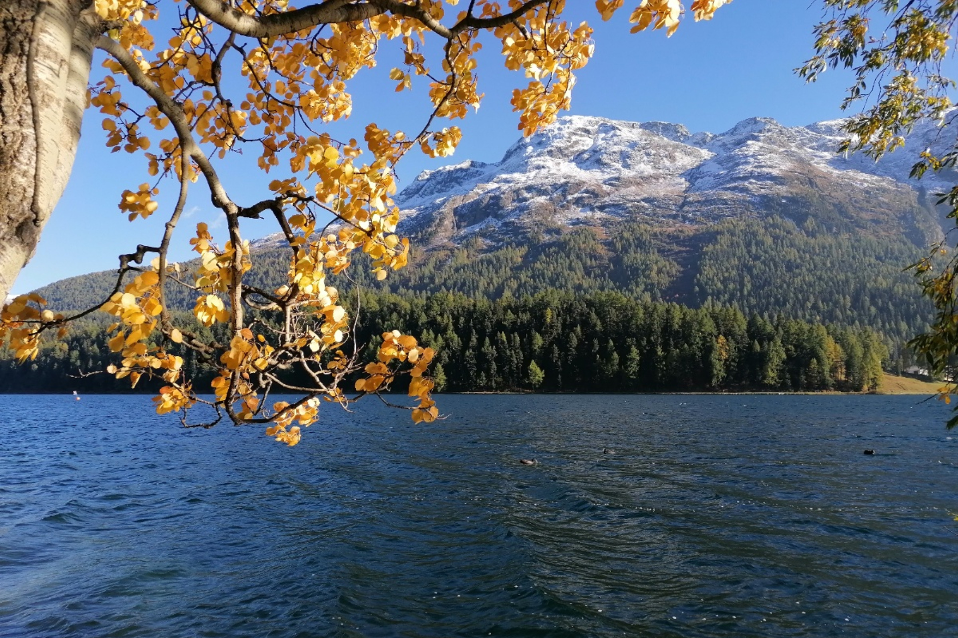 Smaragdweg St. Moritz - Sils