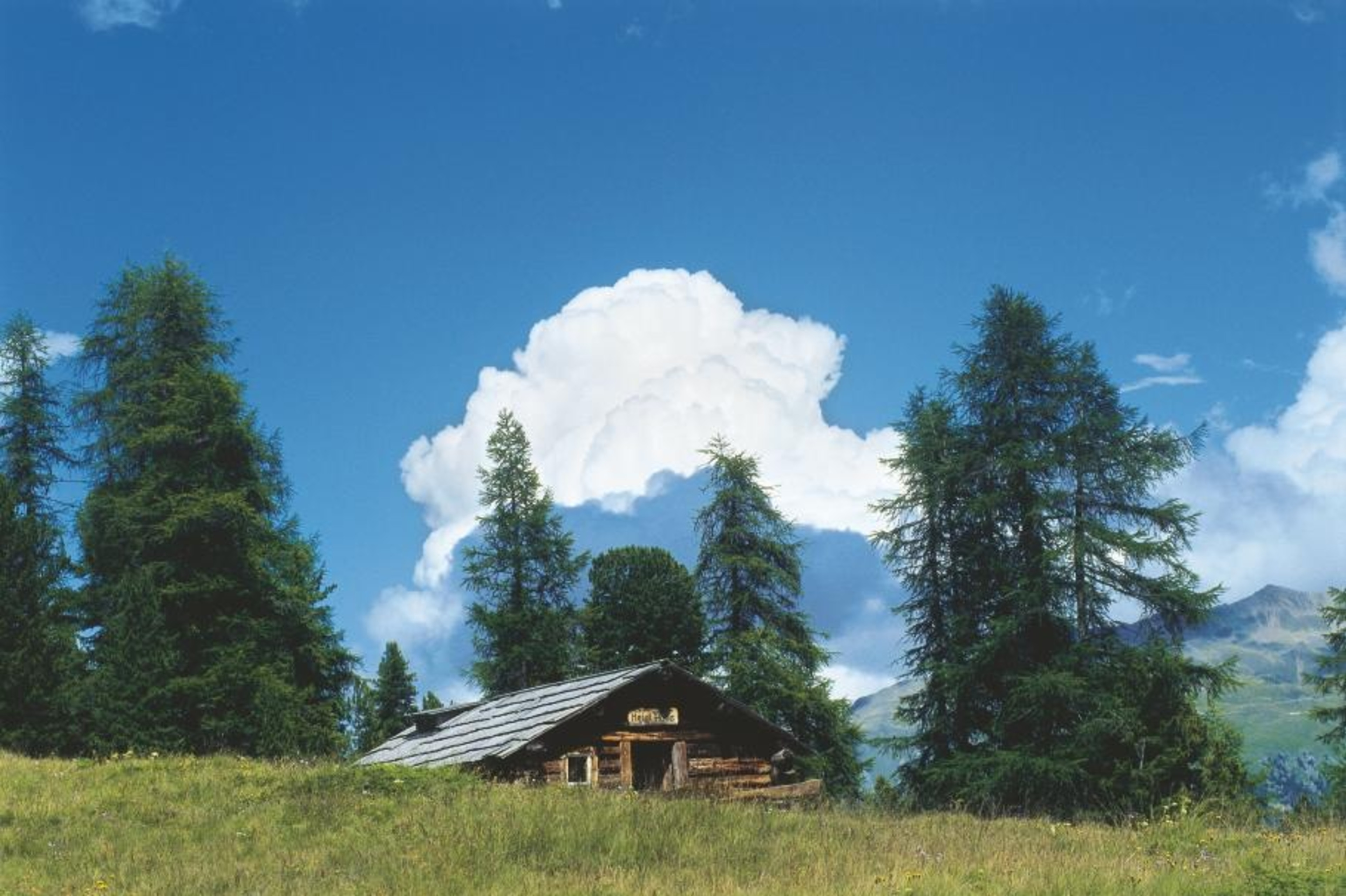 30.04 S-chanf - Pontresina, ViaValtellina
