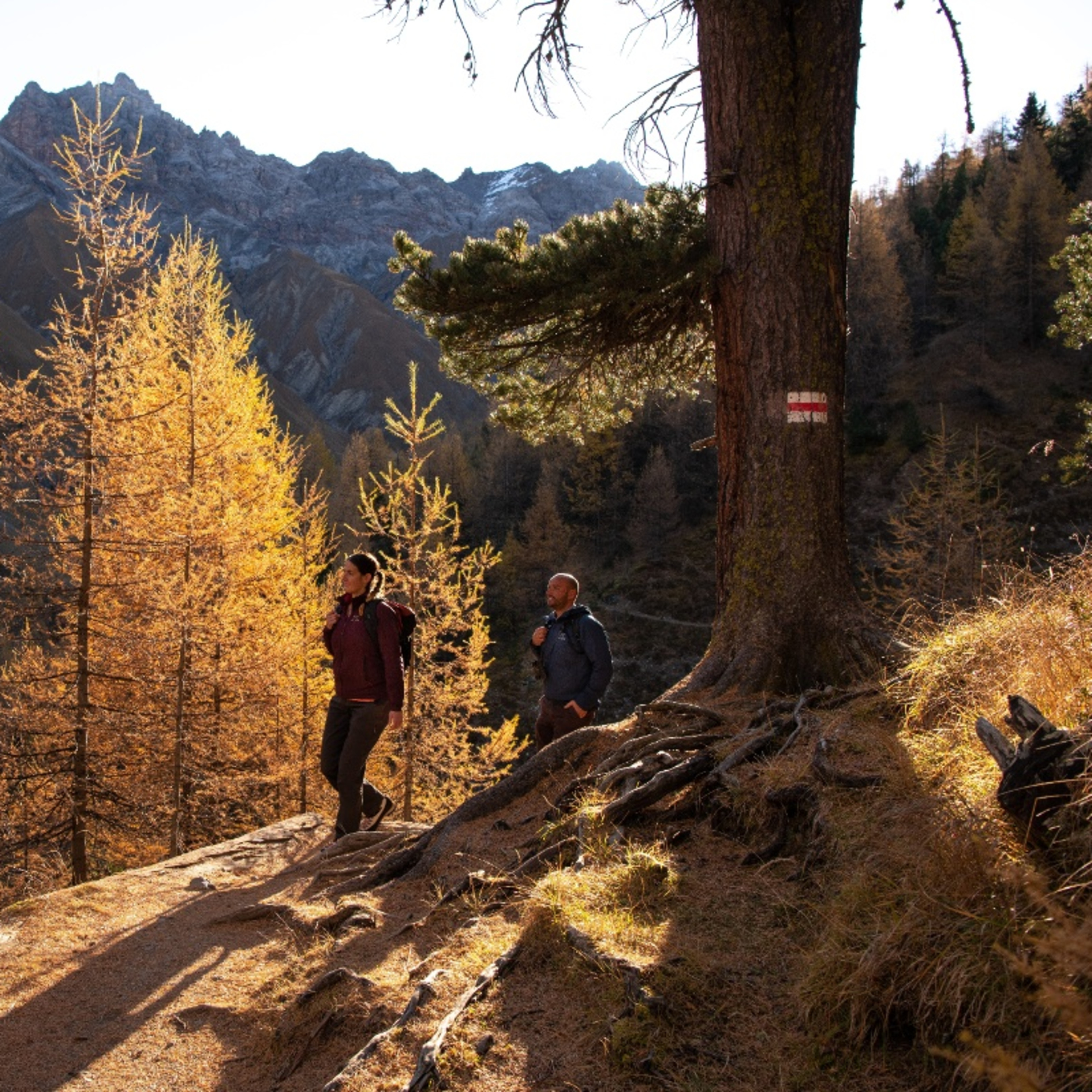 Rundwanderung Val Trupchun im Schweizerischen Nationalpark