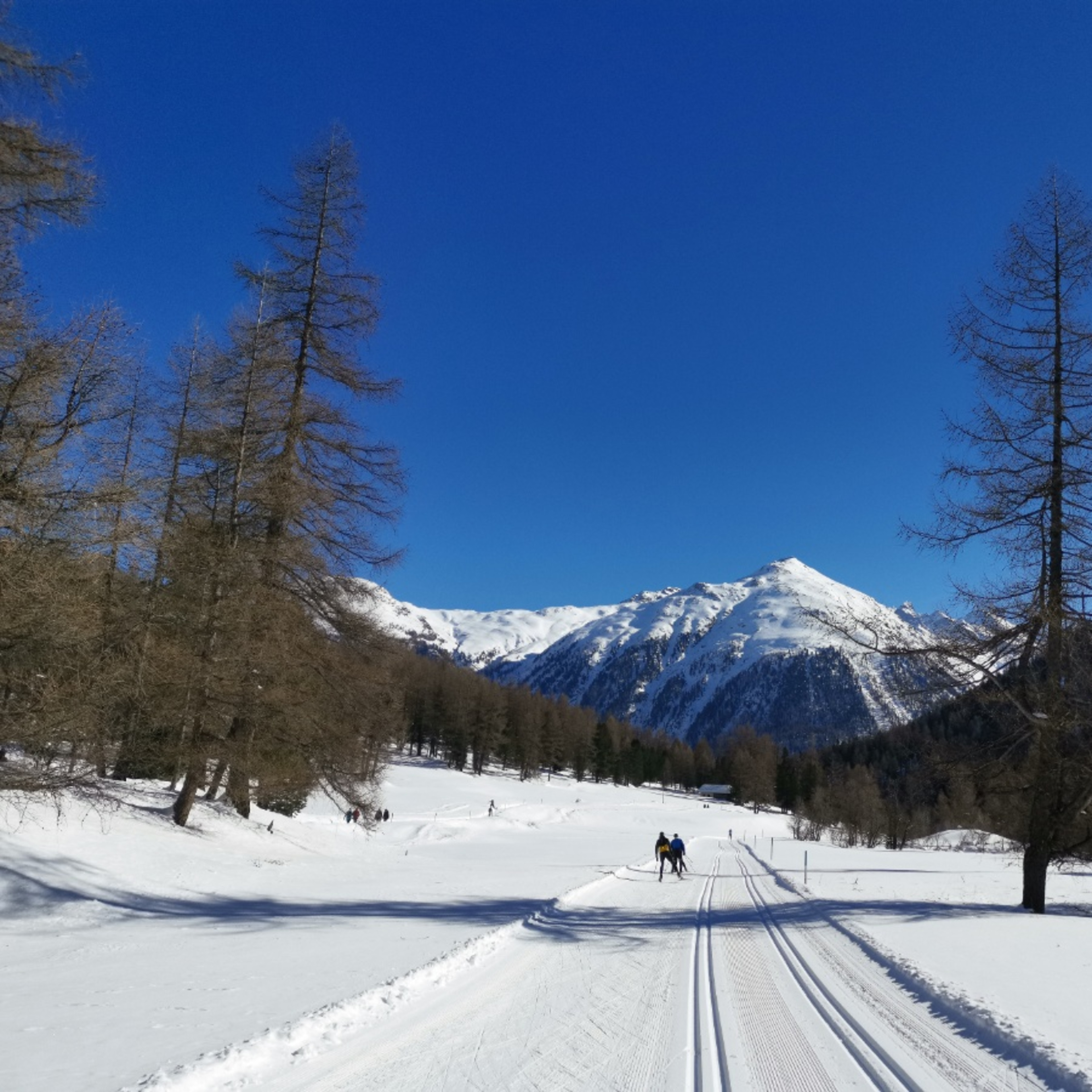Bever - Spinas (SwitzerlandMobility Route 266)
