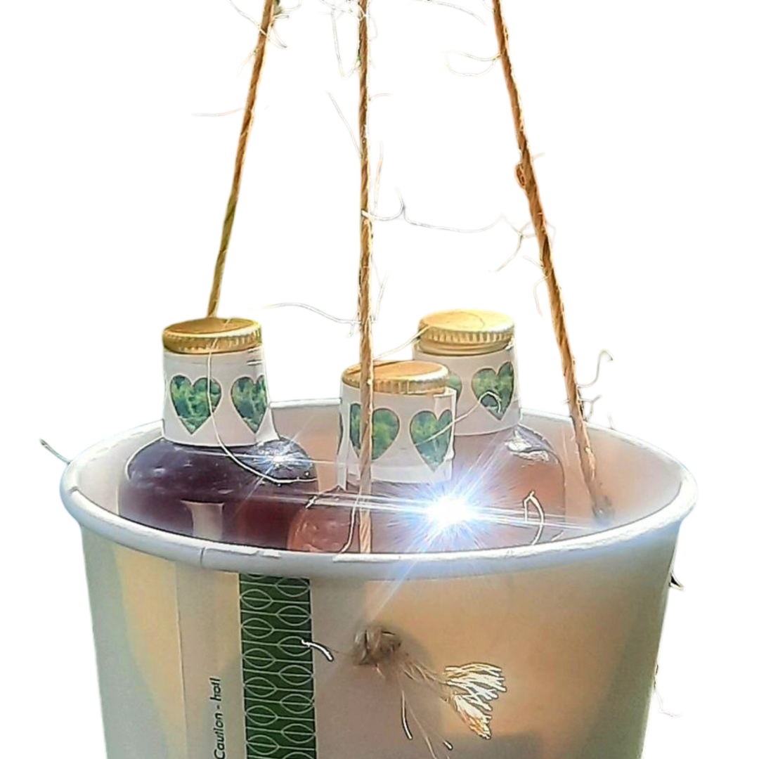 Licor de frutas - 3 frutas - 3 botellitas - Ciruela remolacha, Uva blanca, Butiá  - 150 ml - Imagen 1