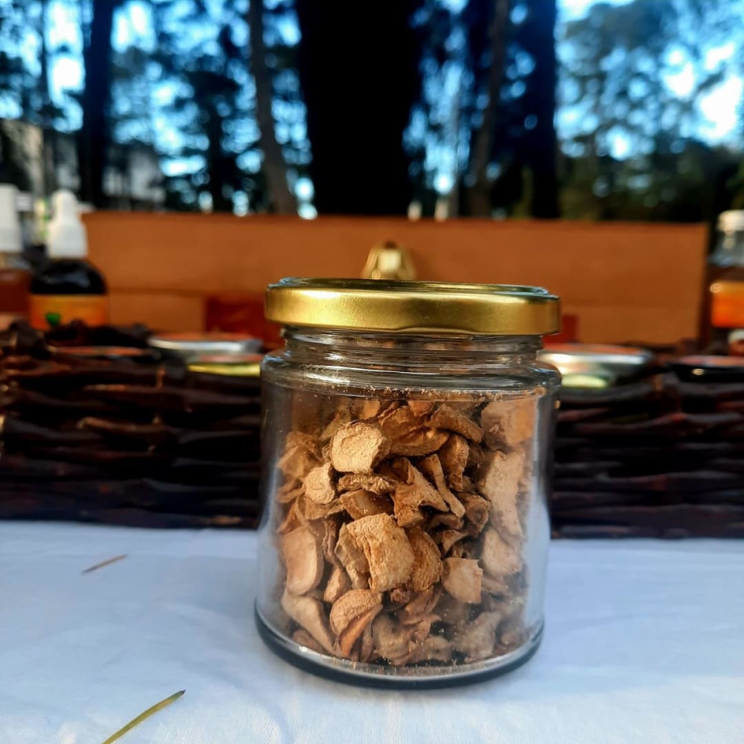 Cúrcuma Curcuma Longa - uruguaya, orgánica, pura, deshidratada, de mi siembra y cosecha - 50 gramos - Imagen 1