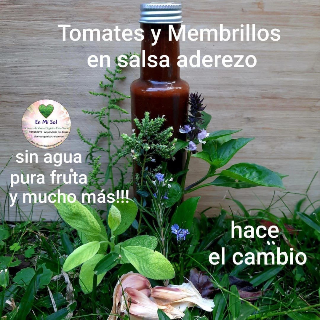 Salsa de tomates y membrillos -  sin agua - pura fruta - mis aromáticas frescas y mis hierbas medicinales y mucho más!!! - 280 gramos - Imagen 1