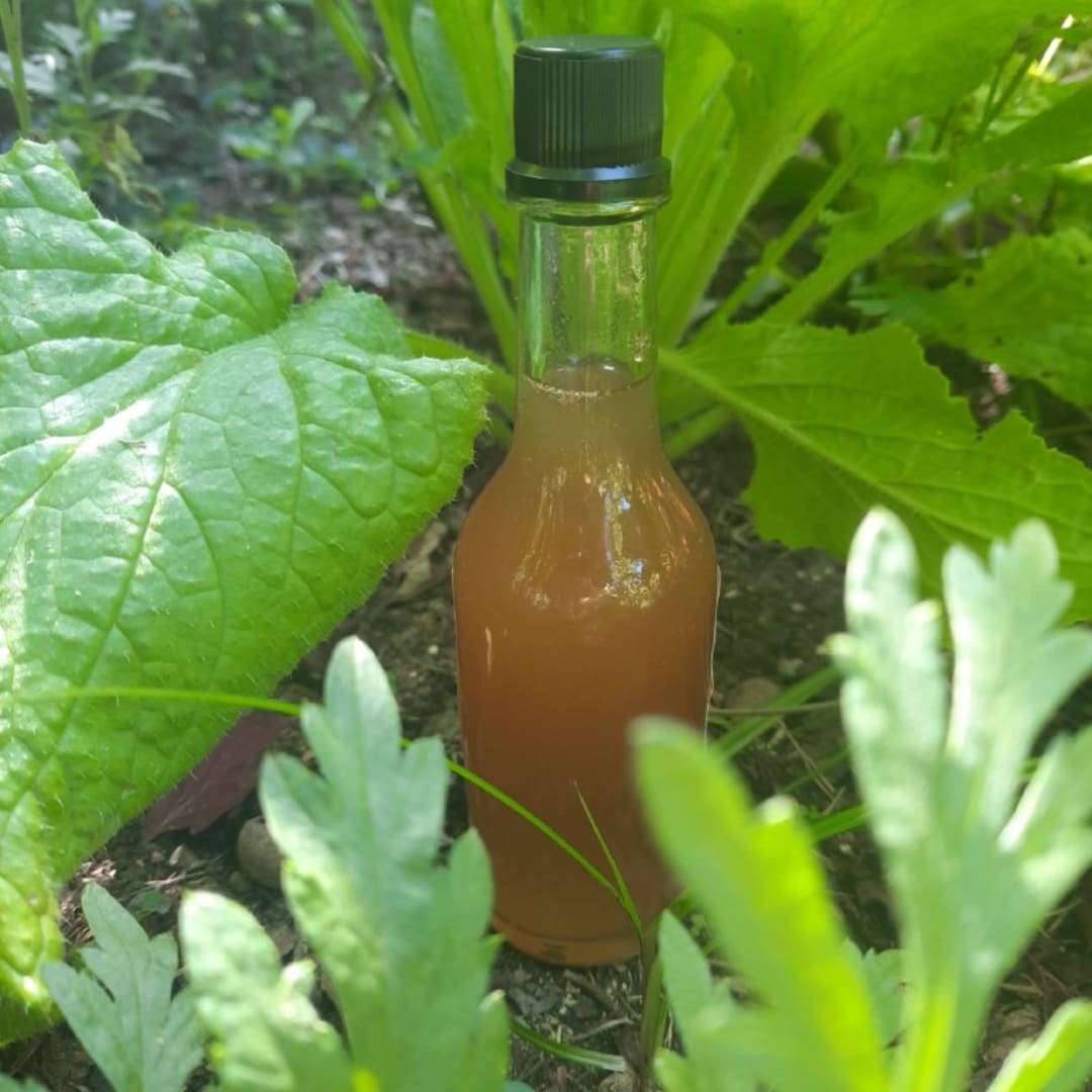 Clorofila de Borraja - Extracto en Miel cruda - Aderezo - 100 ml - Miniatura 3
