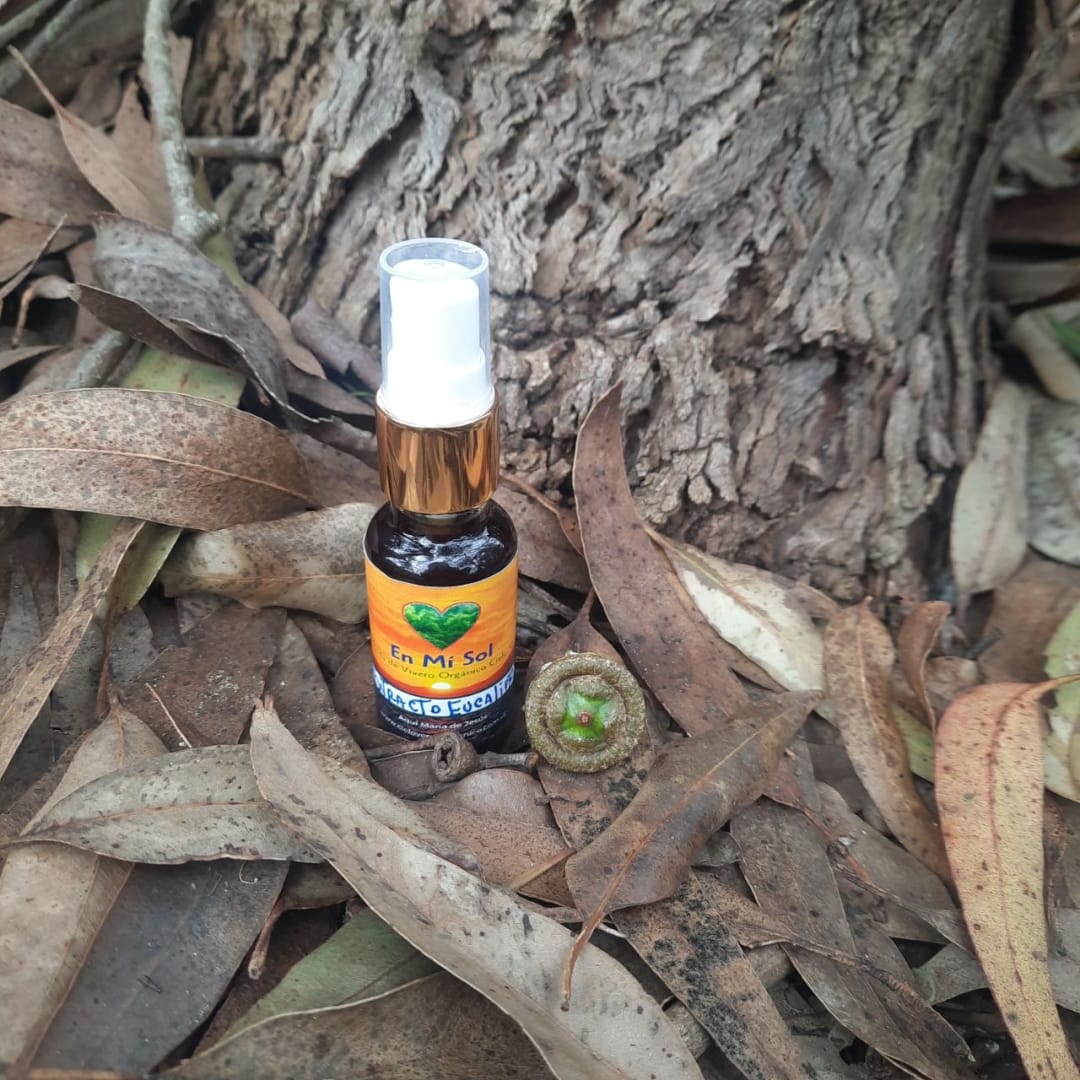 Eucalipto Extracto de  Eucaliptus - spray 20 ml - Imagen 1