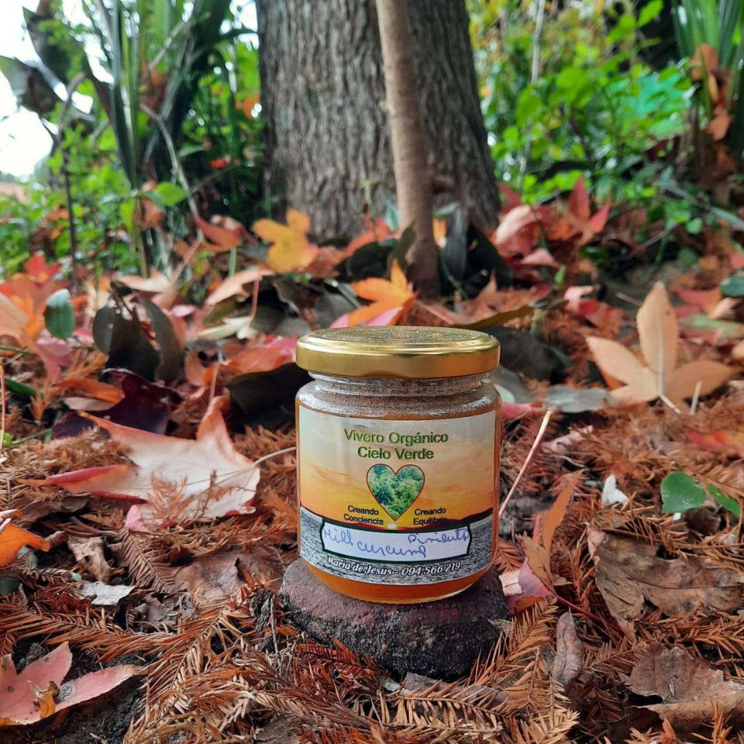 Cúrcuma Curcuma orgánica + pimienta orgánica todo fermentado en miel cruda  - Fórmula original - 250 gramos - Miniatura 2