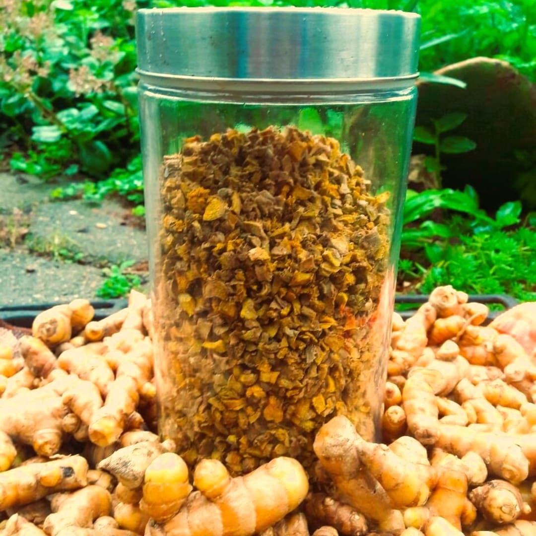 Cúrcuma Curcuma Longa - uruguaya, orgánica, pura, deshidratada, de mi siembra y cosecha - 100 gramos - Miniatura 4