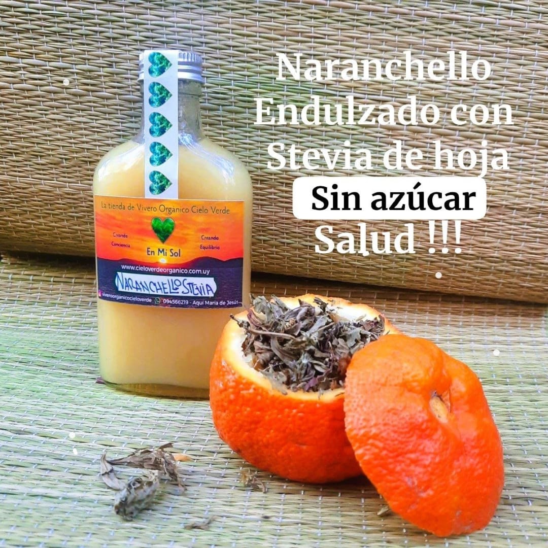 Naranchello  Stevia – Orangechello – Arancello – Narancello - Arancia - Licor de naranja -200 ml - Imagen 1
