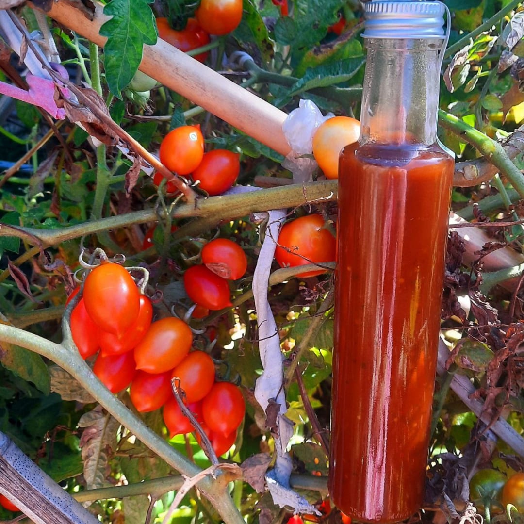 Salsa de mis tomates - aderezo - ácida dulce picante - 260 gramos - Imagen 1