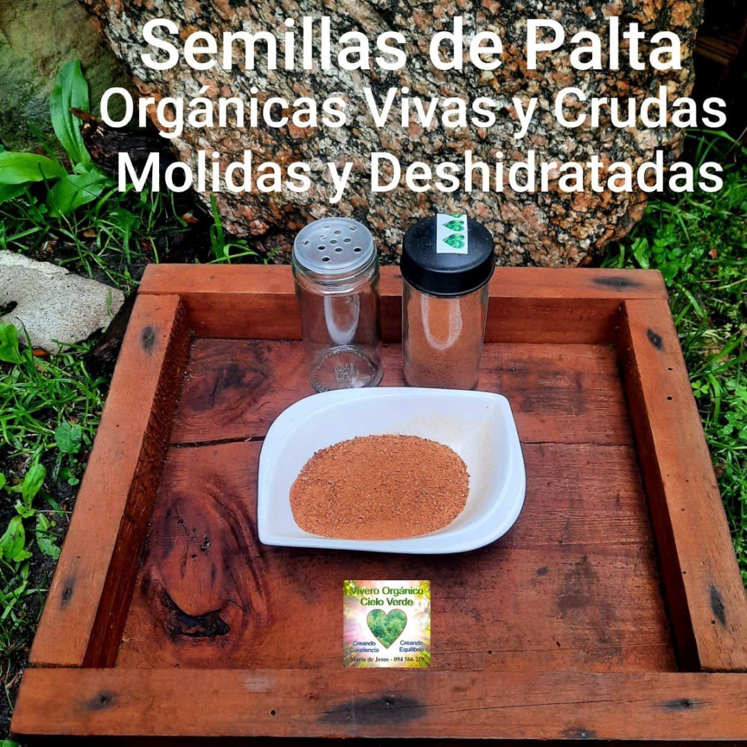 Semillas de Paltas Aguacates orgánicas deshidratadas y molidas - vivas y crudas   - 45 gramos - Miniatura 2