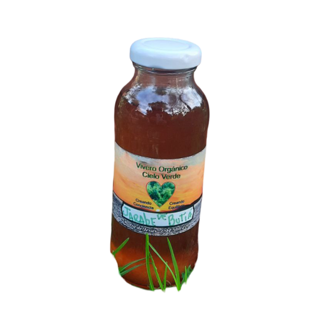 Jarabe de Butiá - 250 ml - Imagen 1