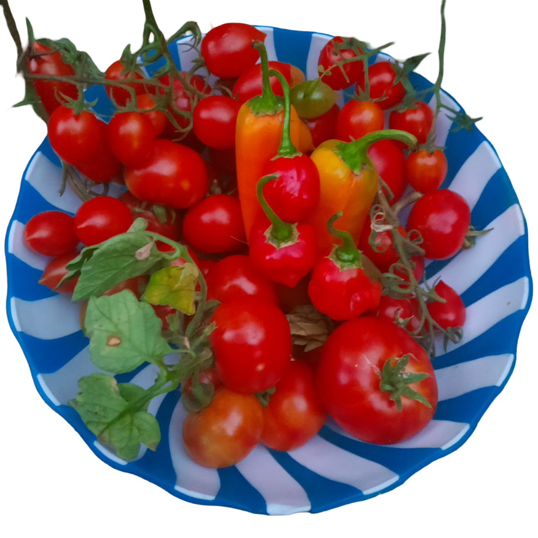 Salsa de Tomates fermentados en Miel - 200 gramos - Miniatura 2