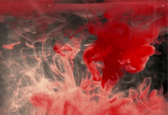 Ochre Development: Body Archiving and Fluid Boundaries 1