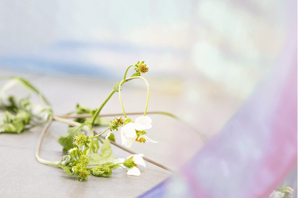 A Dialogue Between __ 5