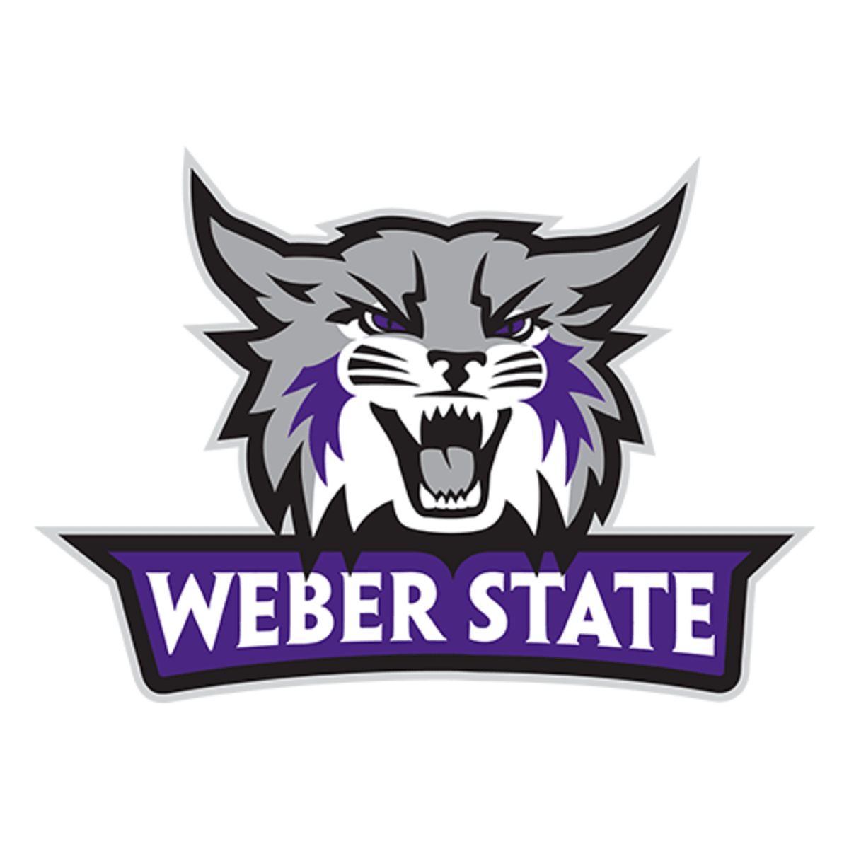 Weber State Wildcats