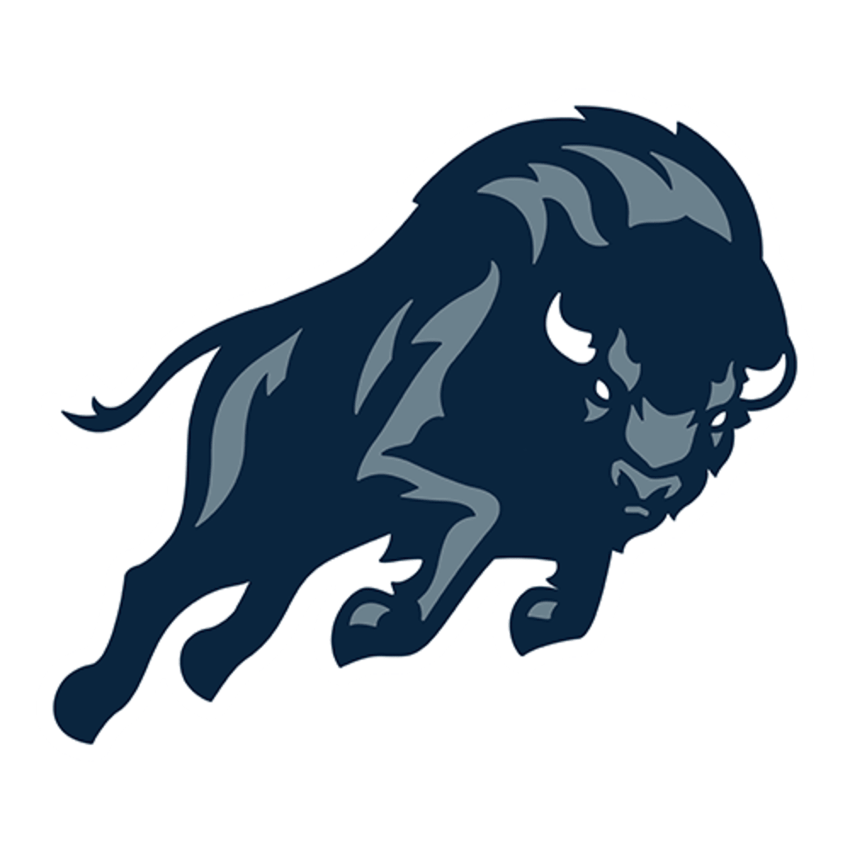 Howard Bison