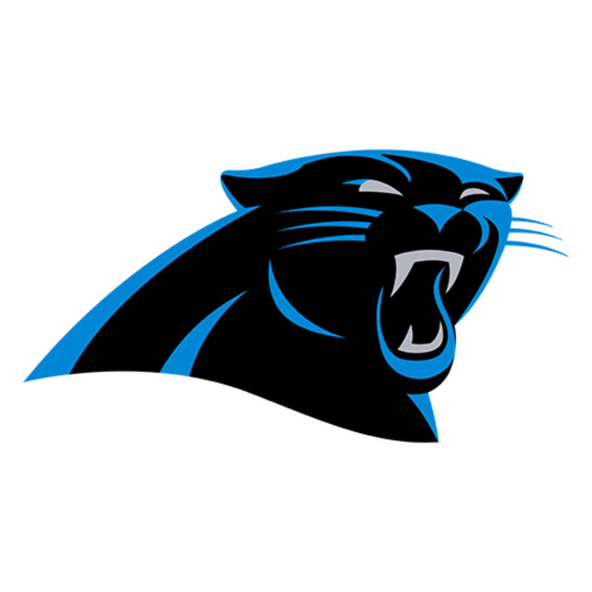 Carolina Panthers