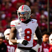 Arvell Reese NFL Draft Scouting Report