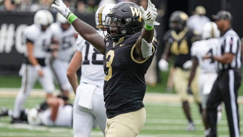 Malik Mustapha NFL Draft Scouting Report