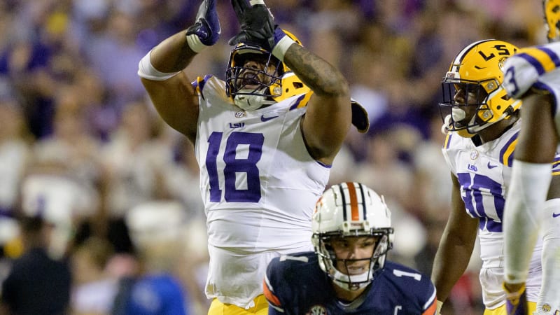 Mekhi Wingo NFL Draft Scouting Report