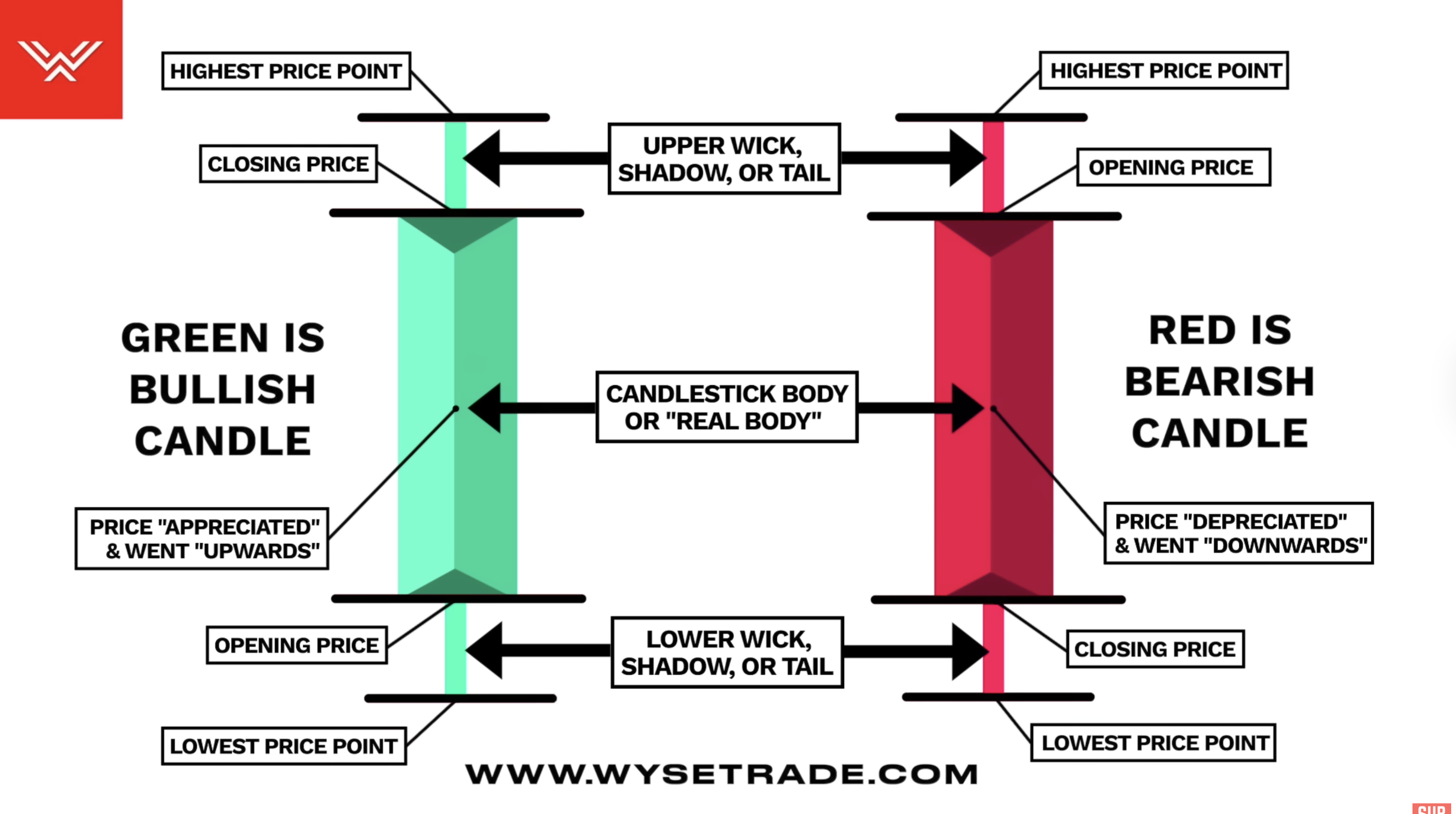 How To Read Candlestick Charts FAST