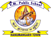 V.M. Public School