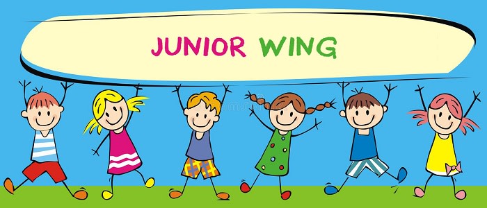 JUNIOR WING