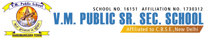 V.M. Public School