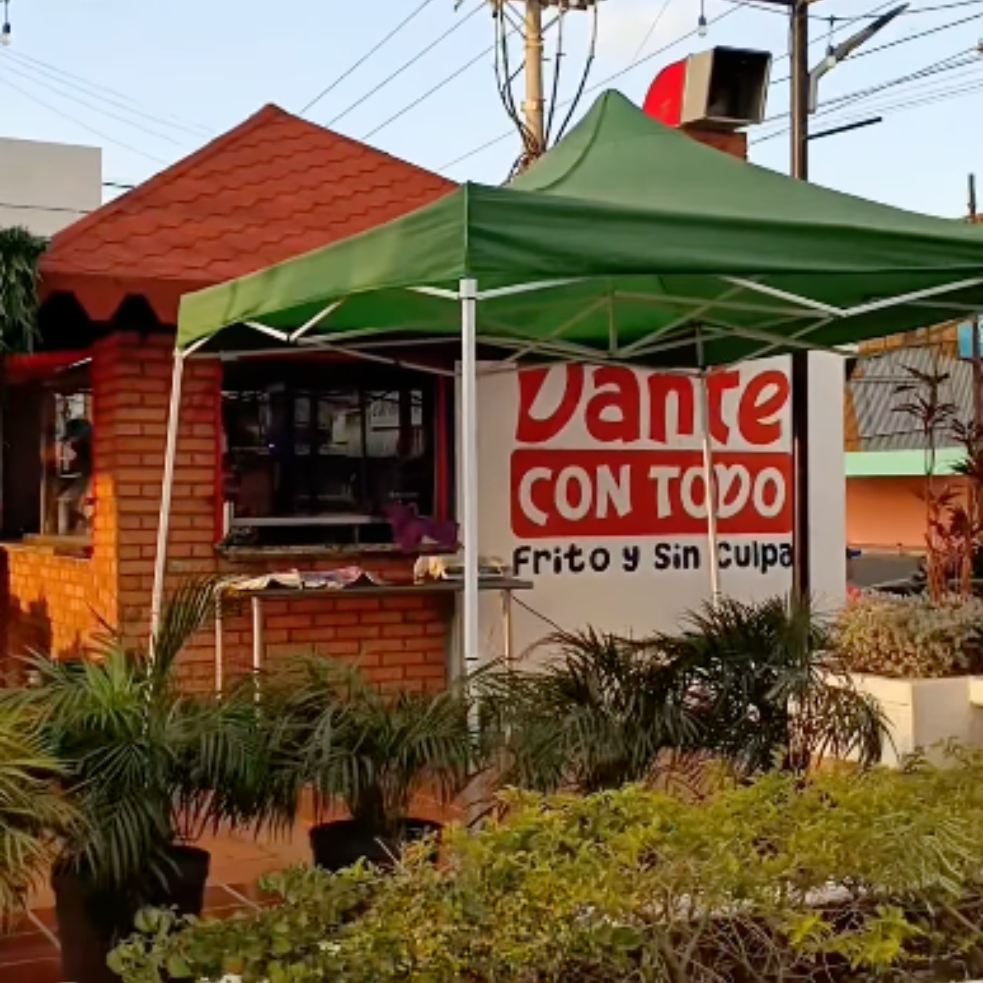 Dante Con Todo