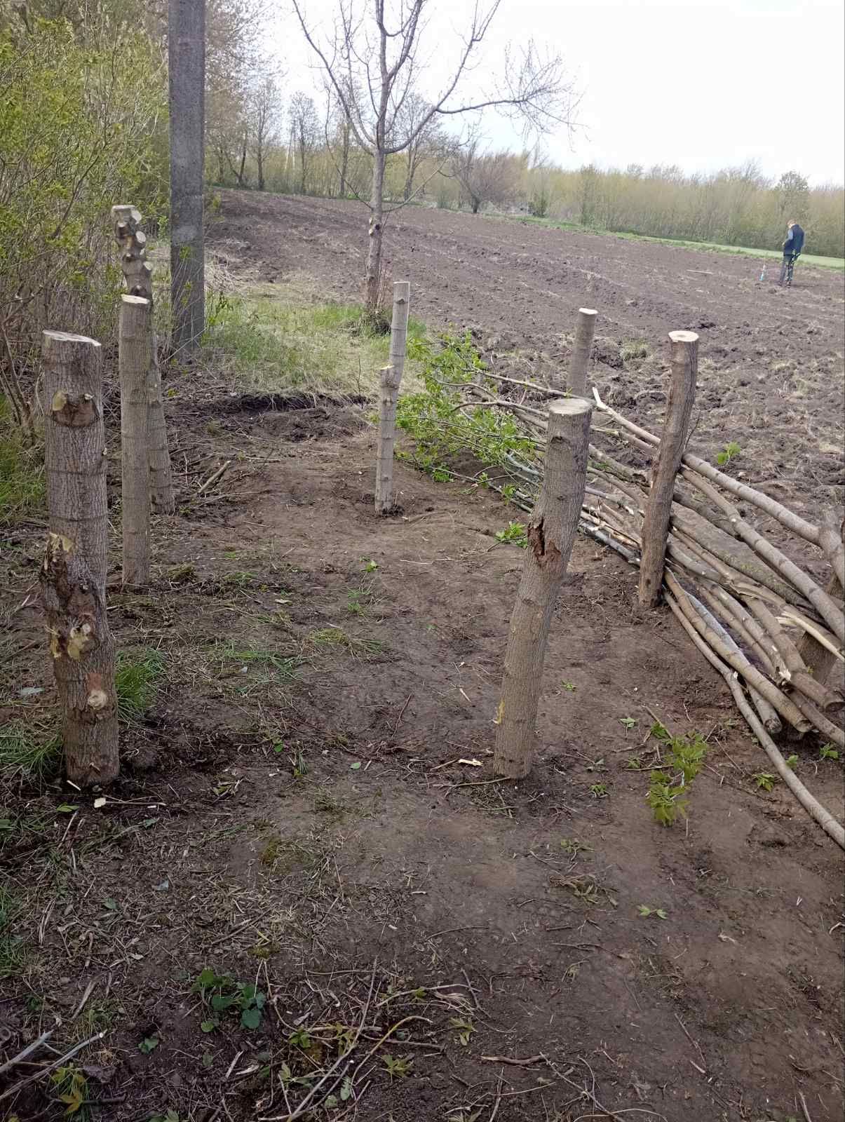 зображення_viber_2026-04-27_14-24-57-993.jpg