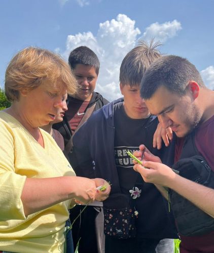 Гібридизація пшениці. Практичне заняття з дисципліни "Селекція і насінництво"