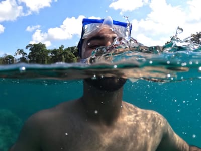 Island Life