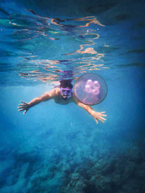 Offbeat Snorkelling Trips