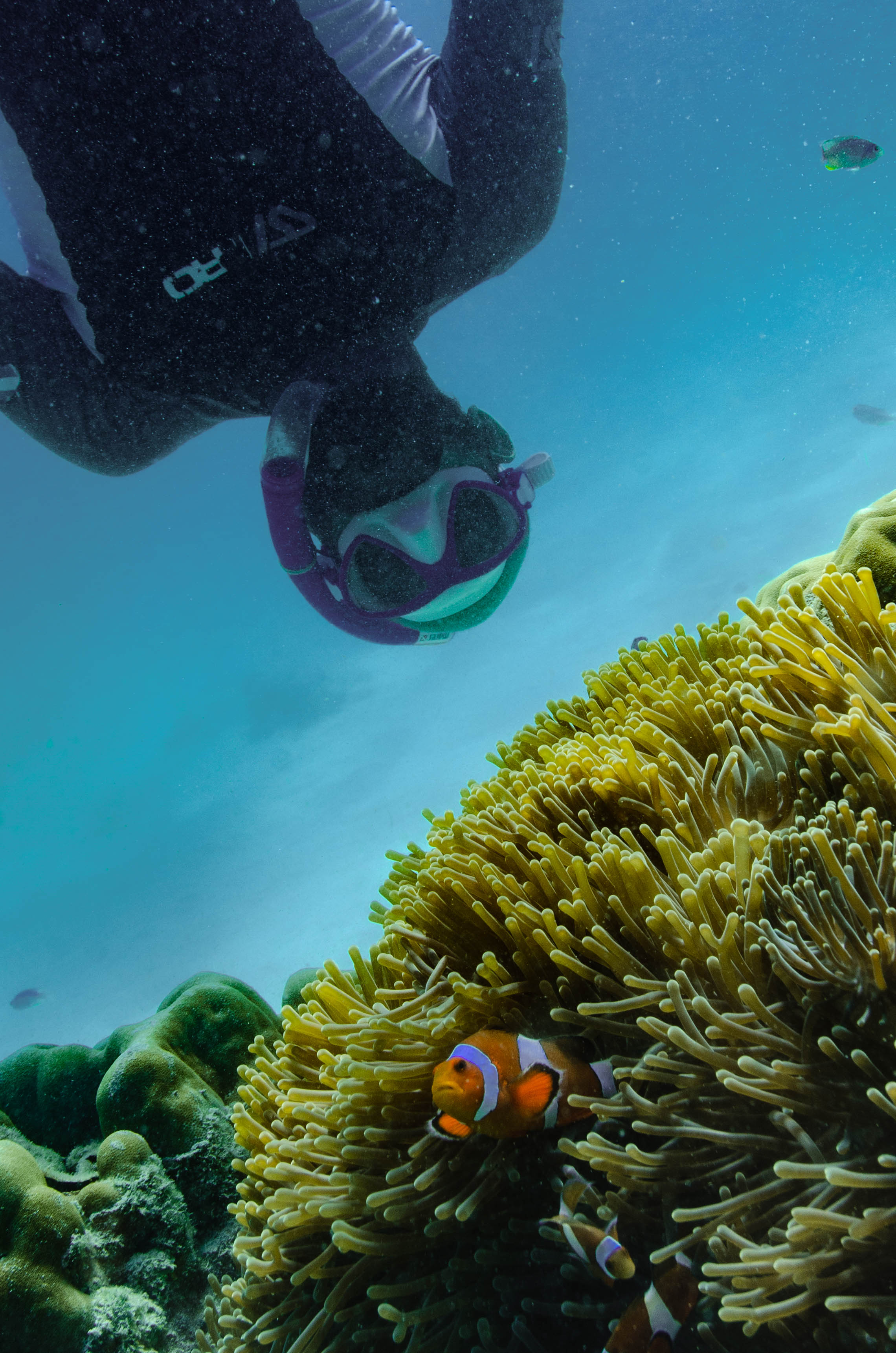 Andaman Experiences