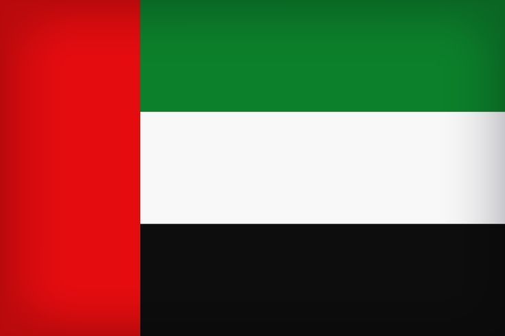 dubai flag