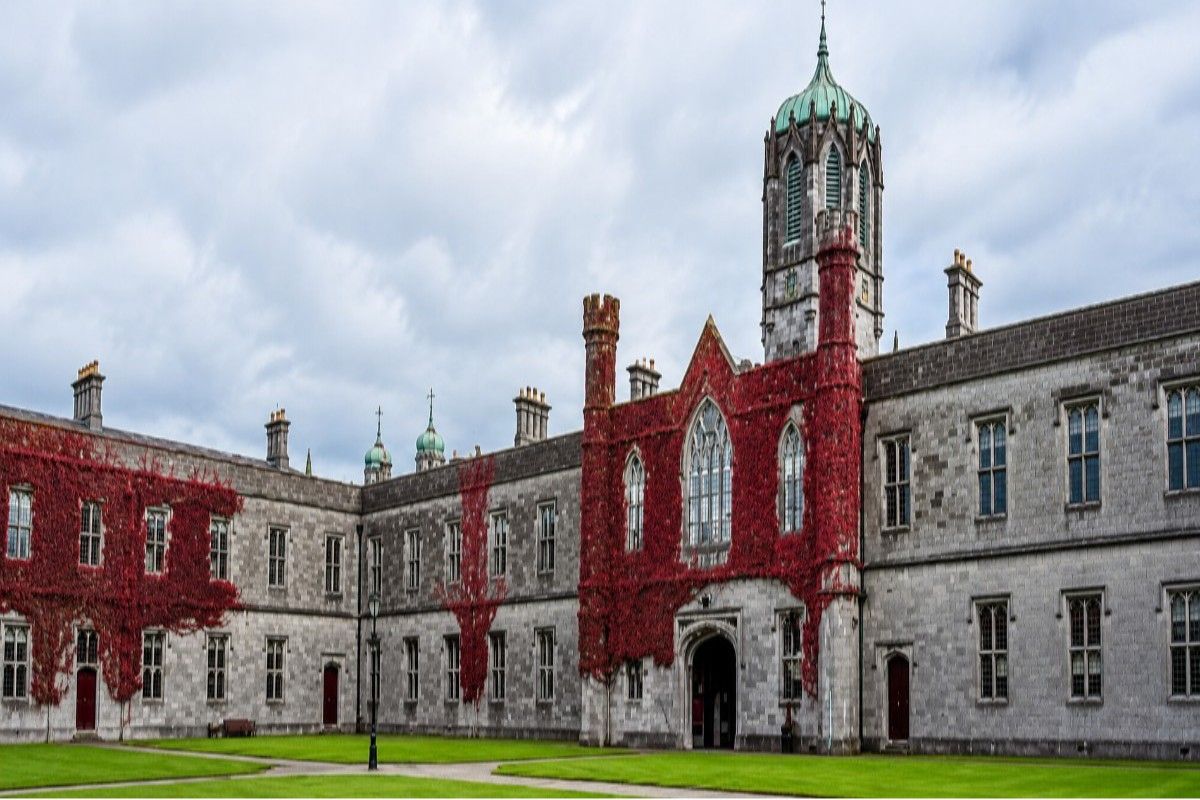 "University of Galway School of Medicine Campus Galway Ireland"