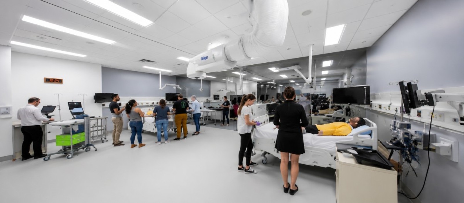 University of Adelaide, Faculty of Health and Medical Sciences (Adelaide), Adelaide, South Australia campus