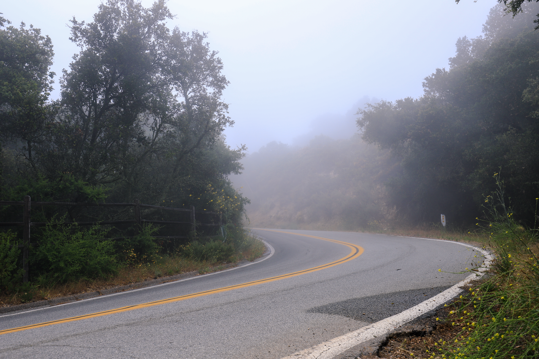 Niebla: luces bajas y revisión de la ruta
