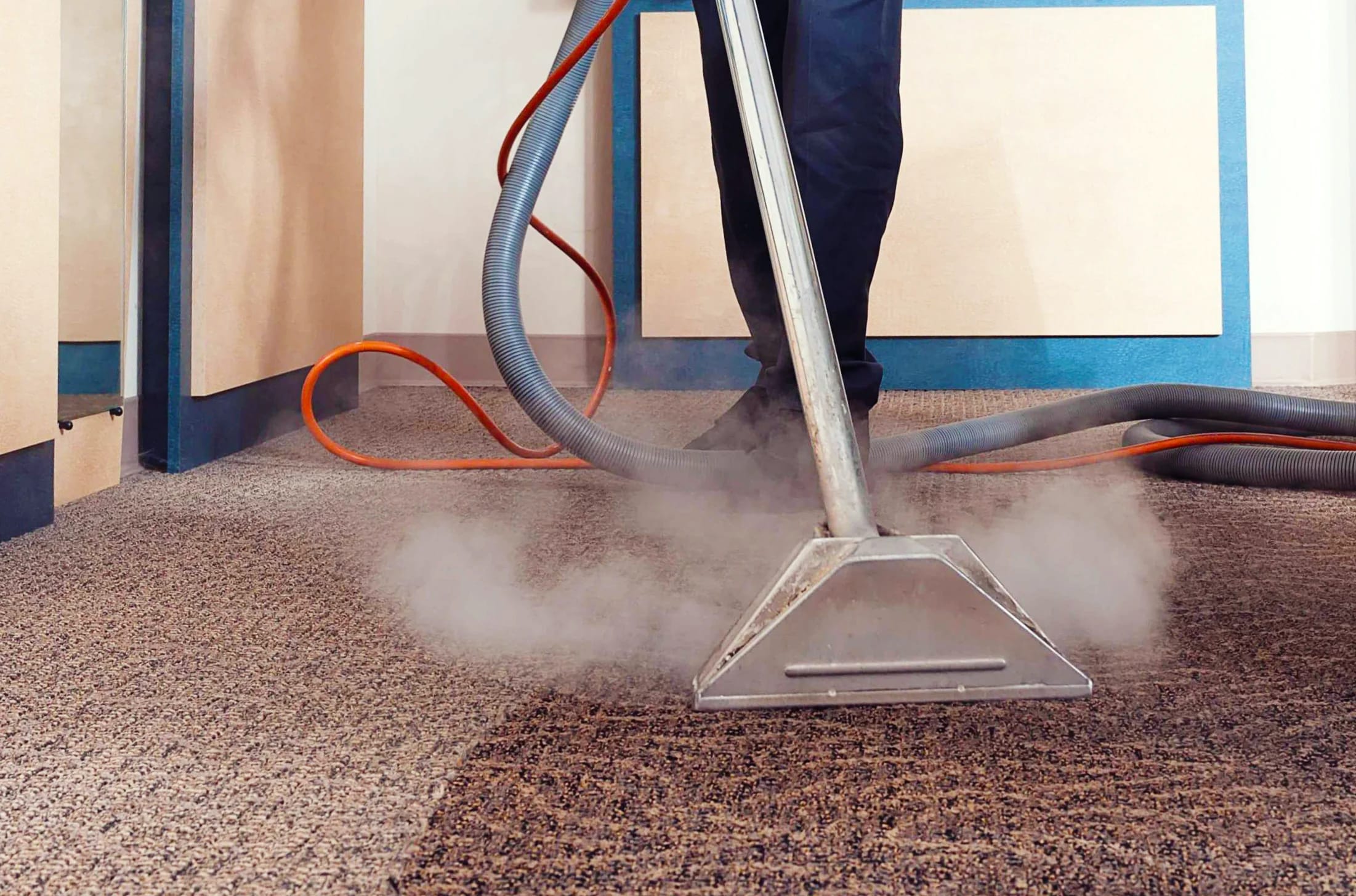 Professional carpet cleaning