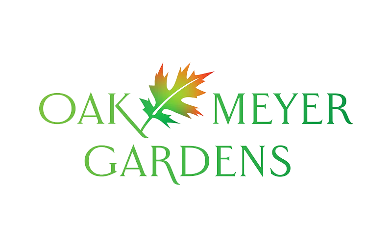 OMG Logo