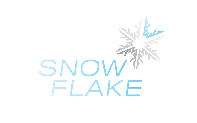 Snow Flake Logo