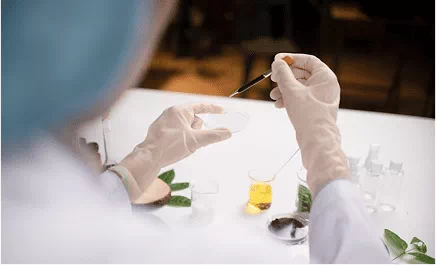 실험실 연구