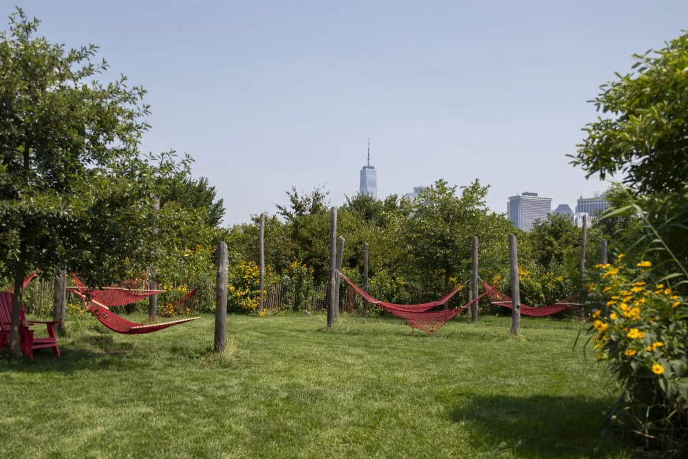 Hammocks overlooking the Statue of Liberty on Governors Island's Hammock Grove