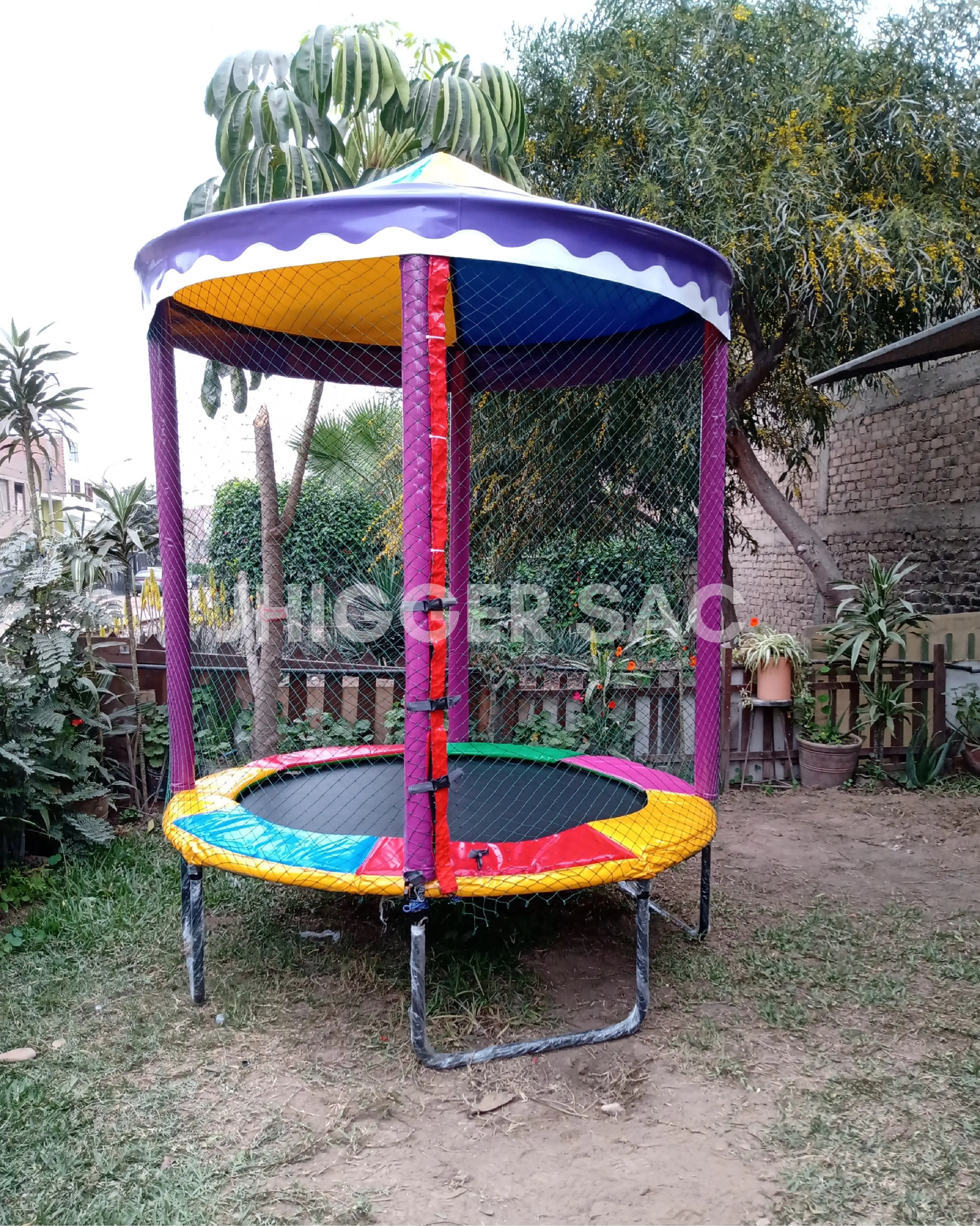 Gallery image 11