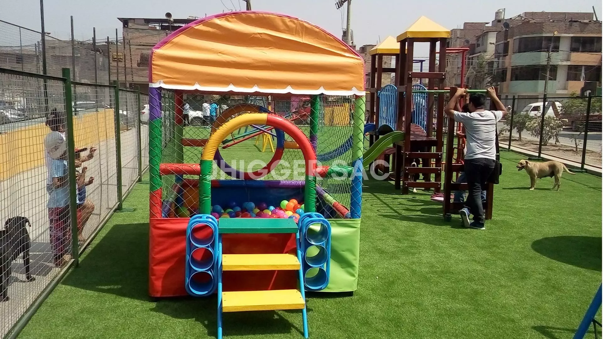 Gallery image 7