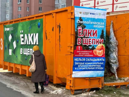 В Кировском районе проходит экологическая акция «Ёлки в щепки»