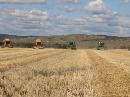 В Башкирии жатва набирает обороты