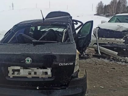 В Башкирии в аварии во время снегопада и сильной метели разбился 17-летний парень