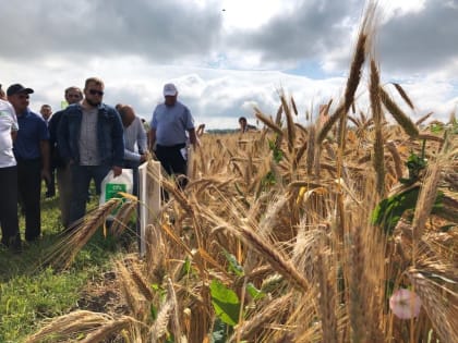 Агропромышленный кластер Башкирии внесли в реестр Минпромторга