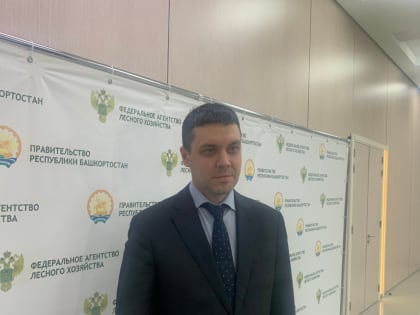 Регионы ПФО, включая Башкирию, показывают хорошие результаты по охране лесов от пожаров - Советников